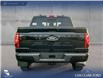 2025 Ford F-150 XLT (Stk: 25AT3596A) in Airdrie - Image 5 of 25