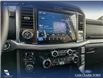 2025 Ford F-150 XLT (Stk: 25AT3596A) in Airdrie - Image 19 of 25