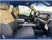 2025 Ford F-150 XLT (Stk: 25AT3596A) in Airdrie - Image 22 of 25