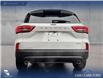 2026 Ford Escape ST-Line (Stk: 26CS7925) in Canmore - Image 6 of 26