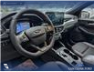 2026 Ford Escape ST-Line (Stk: 26CS7925) in Canmore - Image 14 of 26
