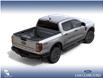 2024 Ford Ranger XLT (Stk: 24T7769) in Red Deer - Image 3 of 7