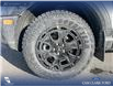 2025 Ford Bronco Sport Badlands (Stk: 25AS0990) in Airdrie - Image 6 of 25