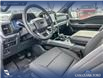 2025 Ford F-150 XLT (Stk: 25AT4374) in Airdrie - Image 13 of 25
