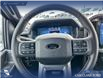 2025 Ford F-150 XLT (Stk: 25AT4374) in Airdrie - Image 14 of 25