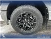 2025 Ford F-150 XLT (Stk: 25AT3156) in Airdrie - Image 6 of 25