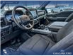 2025 Ford F-150 XLT (Stk: 25AT4380A) in Airdrie - Image 13 of 25