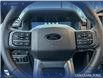 2025 Ford F-150 XLT (Stk: 25AT4380A) in Airdrie - Image 14 of 25