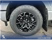 2025 Ford F-150 XLT (Stk: 25AT9636) in Airdrie - Image 6 of 25
