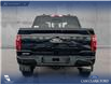 2025 Ford F-150 XLT (Stk: 25AT4343) in Airdrie - Image 5 of 25