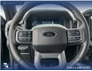 2025 Ford F-150 XLT (Stk: 25AT4343) in Airdrie - Image 14 of 25