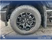 2025 Ford F-150 XLT (Stk: 25AT3591) in Airdrie - Image 6 of 24