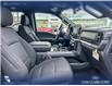 2025 Ford F-150 XLT (Stk: 25AT1264) in Airdrie - Image 22 of 25 2025 Ford F-150 XLT (Stk: 25AT1264) in Airdrie - Image 22 of 25