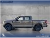 2025 Ford F-150 STX (Stk: 25T4170) in Olds - Image 3 of 25