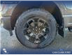 2025 Ford F-150 STX (Stk: 25T4170) in Olds - Image 6 of 25