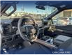 2025 Ford F-150 STX (Stk: 25T4170) in Olds - Image 13 of 25