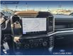 2025 Ford F-150 STX (Stk: 25T4170) in Olds - Image 19 of 25