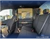 2025 Ford F-150 STX (Stk: 25T4170) in Olds - Image 23 of 25