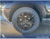 2026 Ford Bronco Sport Badlands (Stk: 26S4569) in Olds - Image 6 of 25