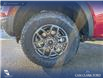 2026 Ford Ranger XLT (Stk: 26T2944) in Olds - Image 6 of 25