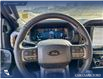 2026 Ford F-150 Tremor (Stk: 26T9752) in Red Deer - Image 13 of 24