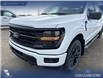 2026 Ford F-150 XLT (Stk: 26T9881) in Red Deer - Image 8 of 24