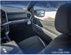 2026 Ford F-150 XLT (Stk: 26T3155) in Olds - Image 25 of 25