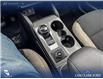 2026 Ford Bronco Sport Big Bend (Stk: 26S9186) in Red Deer - Image 18 of 25