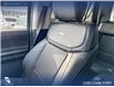 2026 Ford Expedition Platinum (Stk: 26F8814) in Red Deer - Image 20 of 25