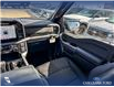 2026 Ford F-150 XLT (Stk: 26T8392) in Red Deer - Image 24 of 24