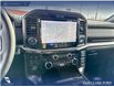2026 Ford F-150 Tremor (Stk: 26T3382) in Red Deer - Image 18 of 24