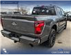 2026 Ford F-150 XLT (Stk: 26T6004) in Red Deer - Image 11 of 24 2026 Ford F-150 XLT (Stk: 26T6004) in Red Deer - Image 11 of 24