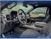 2026 Ford F-150 XLT (Stk: 26T6004) in Red Deer - Image 12 of 24 2026 Ford F-150 XLT (Stk: 26T6004) in Red Deer - Image 12 of 24