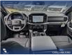 2026 Ford F-150 XLT (Stk: 26T6004) in Red Deer - Image 23 of 24 2026 Ford F-150 XLT (Stk: 26T6004) in Red Deer - Image 23 of 24