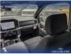 2026 Ford F-150 XLT (Stk: 26T6004) in Red Deer - Image 24 of 24 2026 Ford F-150 XLT (Stk: 26T6004) in Red Deer - Image 24 of 24