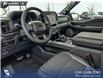 2026 Ford F-150 Tremor (Stk: 26AT8809) in Airdrie - Image 13 of 25 2026 Ford F-150 Tremor (Stk: 26AT8809) in Airdrie - Image 13 of 25