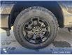 2026 Ford F-150 STX (Stk: 26T3374) in Olds - Image 6 of 25 2026 Ford F-150 STX (Stk: 26T3374) in Olds - Image 6 of 25