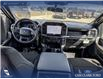 2026 Ford F-150 STX (Stk: 26T3374) in Olds - Image 24 of 25 2026 Ford F-150 STX (Stk: 26T3374) in Olds - Image 24 of 25