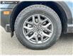 2026 Ford Bronco Sport Big Bend (Stk: 26AS1161) in Airdrie - Image 6 of 25 2026 Ford Bronco Sport Big Bend (Stk: 26AS1161) in Airdrie - Image 6 of 25