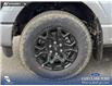 2026 Ford F-150 XLT (Stk: 26AT5019) in Airdrie - Image 6 of 25