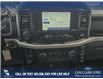 2023 Ford F-150 XL (Stk: P1030) in Innisfail - Image 15 of 24