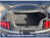 2021 Ford Mustang GT (Stk: P6530) in Olds - Image 12 of 23