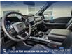 2023 Ford F-150 Tremor (Stk: U37358) in Red Deer - Image 11 of 22