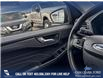 2023 Ford Escape PHEV (Stk: P6546) in Olds - Image 17 of 25