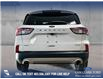 2022 Ford Escape SEL (Stk: P13937) in Airdrie - Image 5 of 25