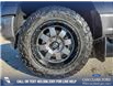 2021 Ford F-150 XLT (Stk: U37370) in Red Deer - Image 6 of 25