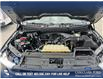 2022 Ford F-150  (Stk: P1369) in Canmore - Image 11 of 26