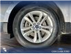 2019 Ford Edge SEL (Stk: P13962) in Airdrie - Image 6 of 25