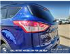 2015 Ford Escape SE (Stk: U37386) in Red Deer - Image 11 of 25