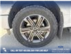 2022 Ford F-150 Lariat (Stk: P6563) in Olds - Image 6 of 25